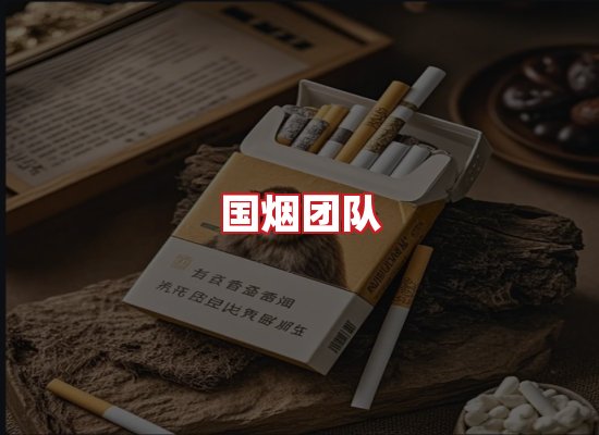 国烟团队